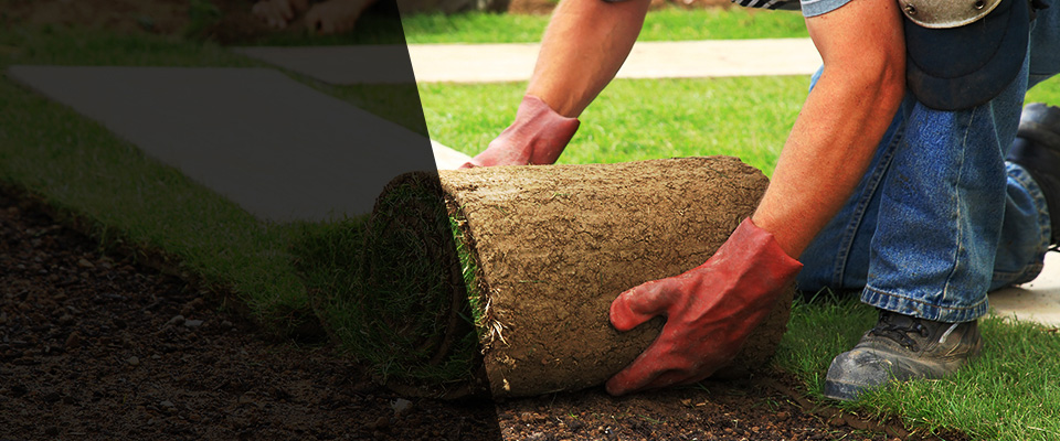 Brandenburg Landscapers